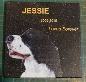 Dog memorial plaque corian stone 140 x 140 mm gold engraving Colour photo print
