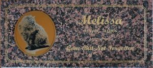 Memorial stone pink granite engraving with gold fill Gold engraved plate with photo