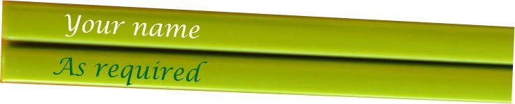 Green Chop stick print