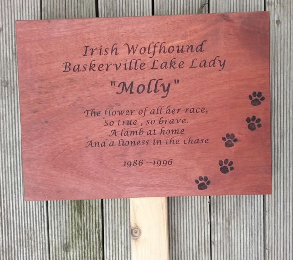 Red gum garden marker engraved paw prints text