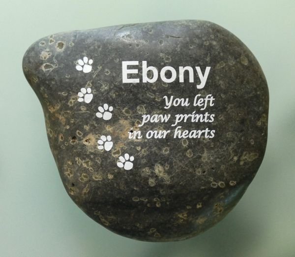 Pet Rock white text and paw prints
