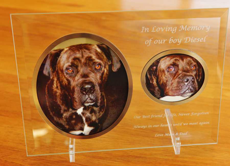 Special with two oval frames supplied with prints mounted