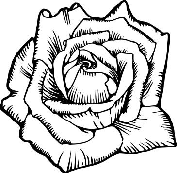 rose flower for engraving