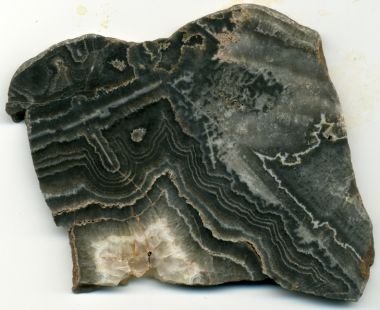 Polished Crazy Lace Agate