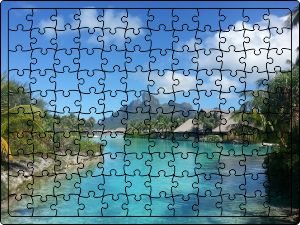 Jigsaw Cognitive 120 pieces