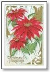 Christmas Cards red floral 014