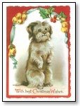 Christmas Cards  dog in frame 018