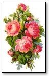 Floral pink carnation hand wreath 022