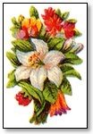 Floral white feature with orange red surrounds  029