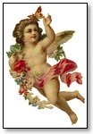 Valentine cupid with rose and butterfly 022
