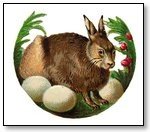 Easter bunny in circle with eggs 111