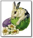 Easter bunny with egg and white flowers 124