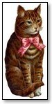 Animal ginger cat with pink bow 325