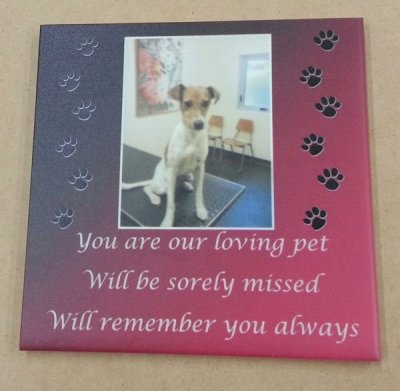 Dog memorial photo print on tile with color shaded background
