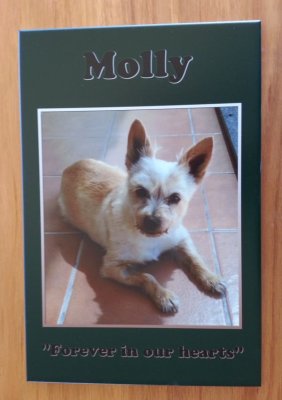 Tile memorial print Molly on green background