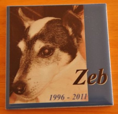 Printed tile memorial Hawk Grey photo text with shadow effect