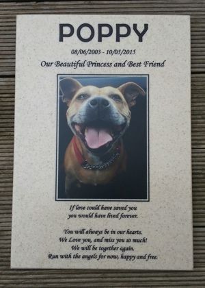 Dog memorial plaque Corian Aurora engraved black with colour photo