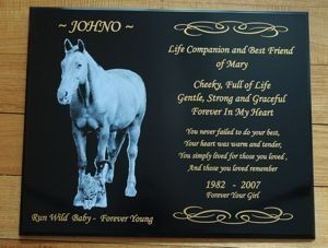 Memorial plaque for horse Nocturne colour engraved photo white text in gold 200 x 300 mm