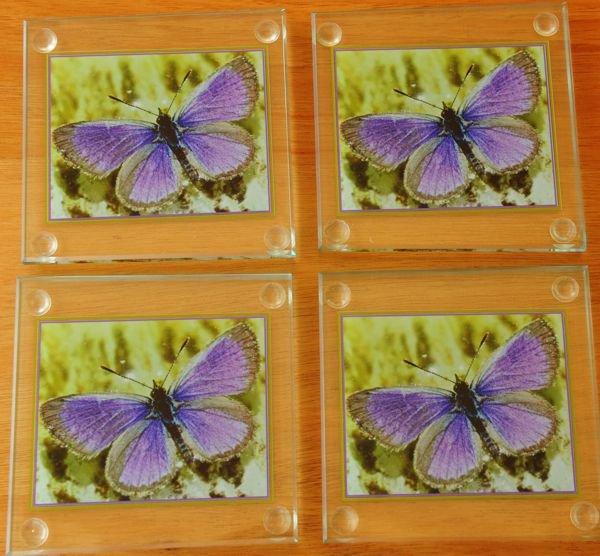 Coasters custom butterfly photo print