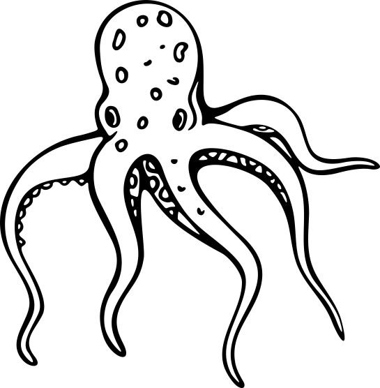 Octopus with tentacles outstretched