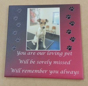 Memorial paque 200 x 200 mm Shaded background paw prints