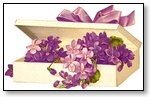Floral violets in box with ribbon 005