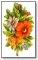 Floral orange and white daisy 002